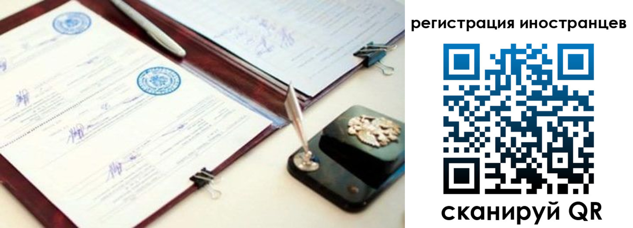 временная прописка в Димитровграде